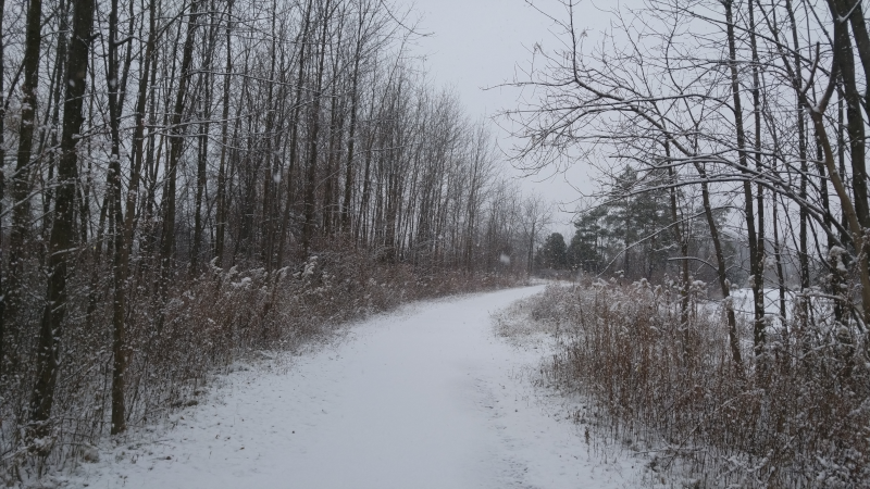 lp_in_winter